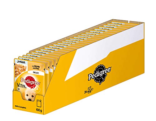 Pedigree Vital Protection Hundenassfutter für Welpen im Beutel – Hundefutter in Gelee mit Huhn & Reis – 24 x 100g Großpackung
